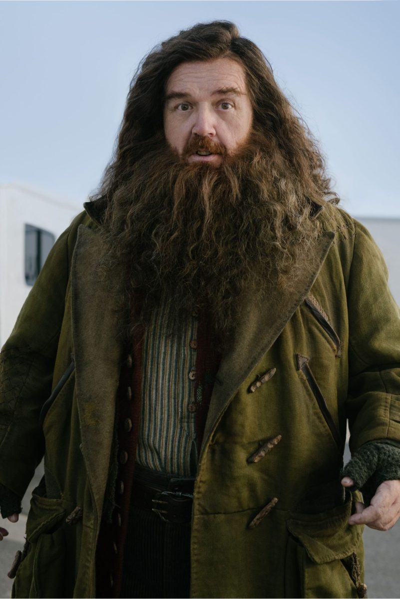 Hagrid Harry Potter