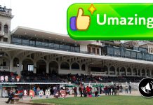Umazing! Club Hípico en Chile es invadido por fans de Umamusume