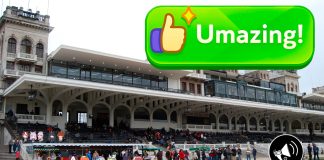 Umamusume: Club Hípico de Santiago anuncia su primera carrera de Umas