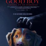 Cine | Good Boy
