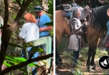 Rumor | filtran primer vistazo al set de Live Action de Legend of Zelda