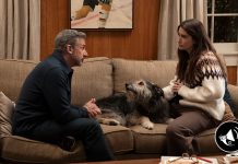 Rooster: nueva serie de Steve Carell ya tiene fecha en HBO Max