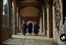 Harry Potter: Peter Serafinowicz se une al elenco como Peeves