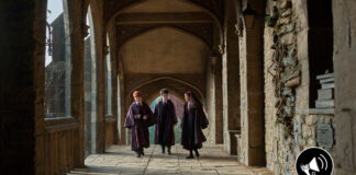 Harry Potter: Peter Serafinowicz se une al elenco como Peeves