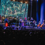 Studio Ghibli Sinfónico regresará a Santiago en 2027 con 50 músicos en escena